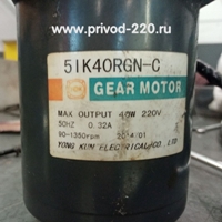 5IK4RGN-C/5GN-5K регулируемый мотор-редуктор YONG KUN ELECTRICAL 40 Вт 260 об/мин 220 В