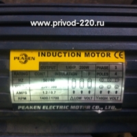 GV22-200W-200S цилиндрический мотор-редуктор PEAKEN ELECTRIC MOTOR CO. LTD. 200 Вт 7 об/мин 220/380 В