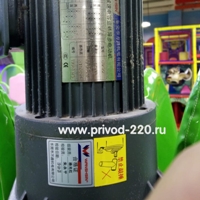 GV22-200W-200A цилиндрический мотор-редуктор WANSHSIN 200 Вт 7 об/мин 220 В, фото 2