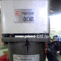 M560-502/30B регулируемый мотор-редуктор TUNG LEE ELECTRICAL CO., LTD. 60 Вт 43 об/мин 220 В