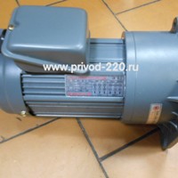 GV22-400W-30S мотор-редуктор HOUSIN 400 Вт 47 об/мин 220/380 В