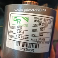 GR-07SGN/4GNV 10B мотор-редуктор GIN RE ELECTRIC MOTORS 60 Вт 300 об/мин 180 В