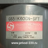 GS5IK60GN-SF/5GN5K мотор-редуктор 60 Вт 260 об/мин 220/380 В