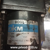 9IDG2-60FP/PID150BH мотор-редуктор DKM MOTOR 60 Вт 9 об/мин 220 В