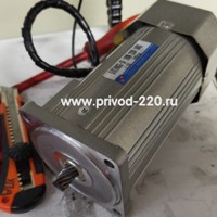 5IK180GU-SF/5GU-150K мотор-редуктор TAILI MOTOR 180 Вт 9 об/мин 220 В, фото 2